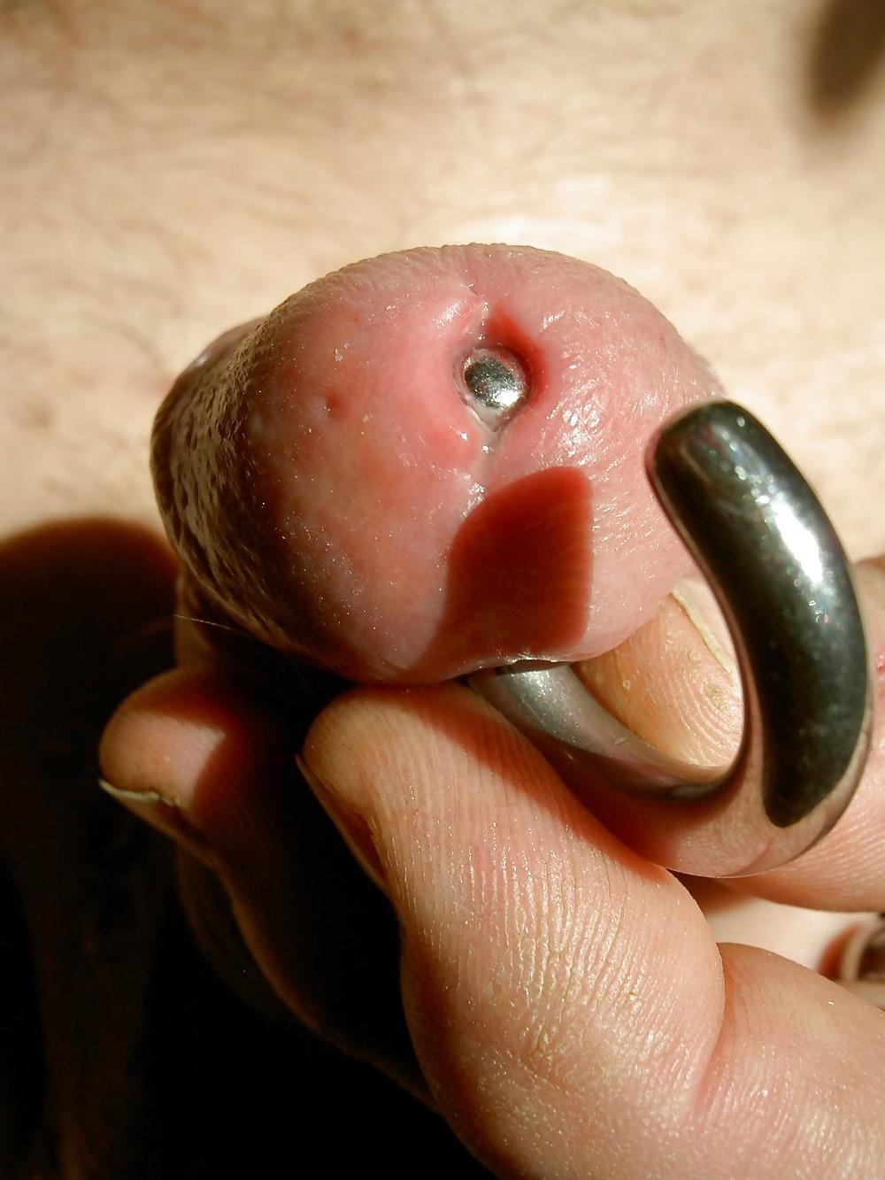 18P Pierced Penis