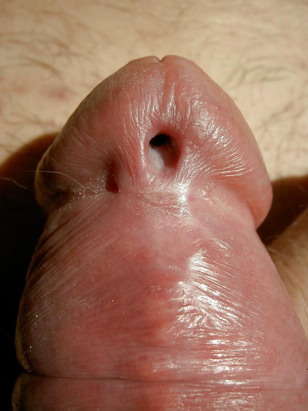 18P Pierced Penis
