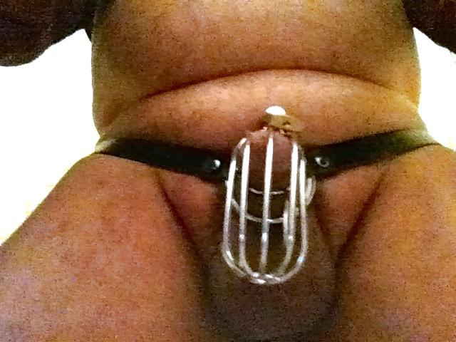 7P In my cage for my Mistress I obey .....