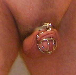6P Tiny Cage -- Section 2