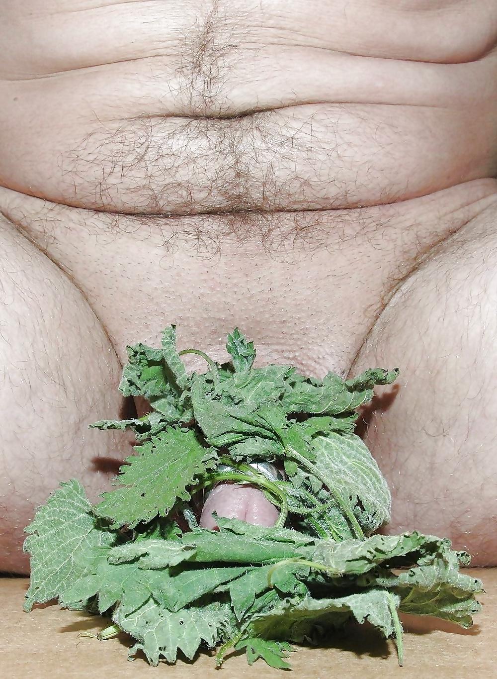 14P Torture penis 