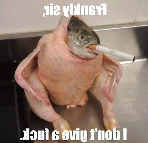 25P Funny