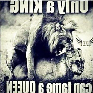 4P Funny