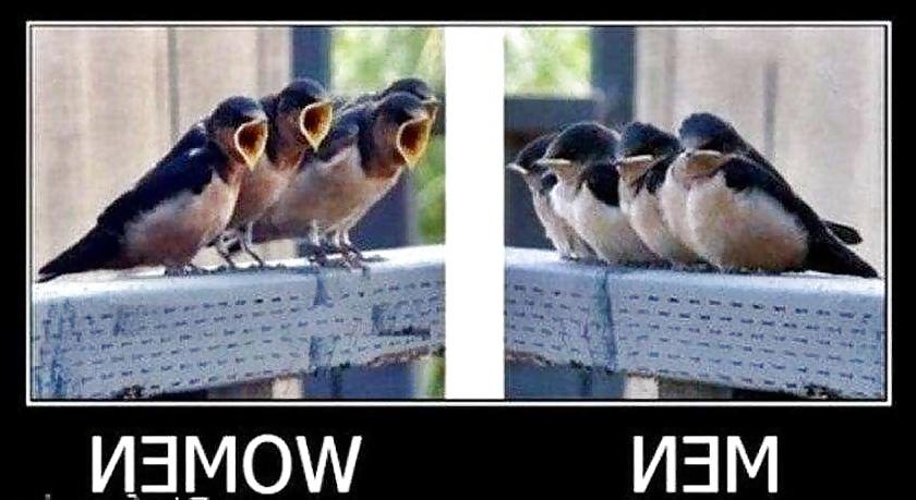 20P Funny funny