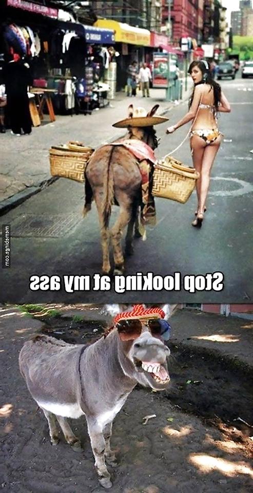25P Mixed Funny and Sexy Quotes 5