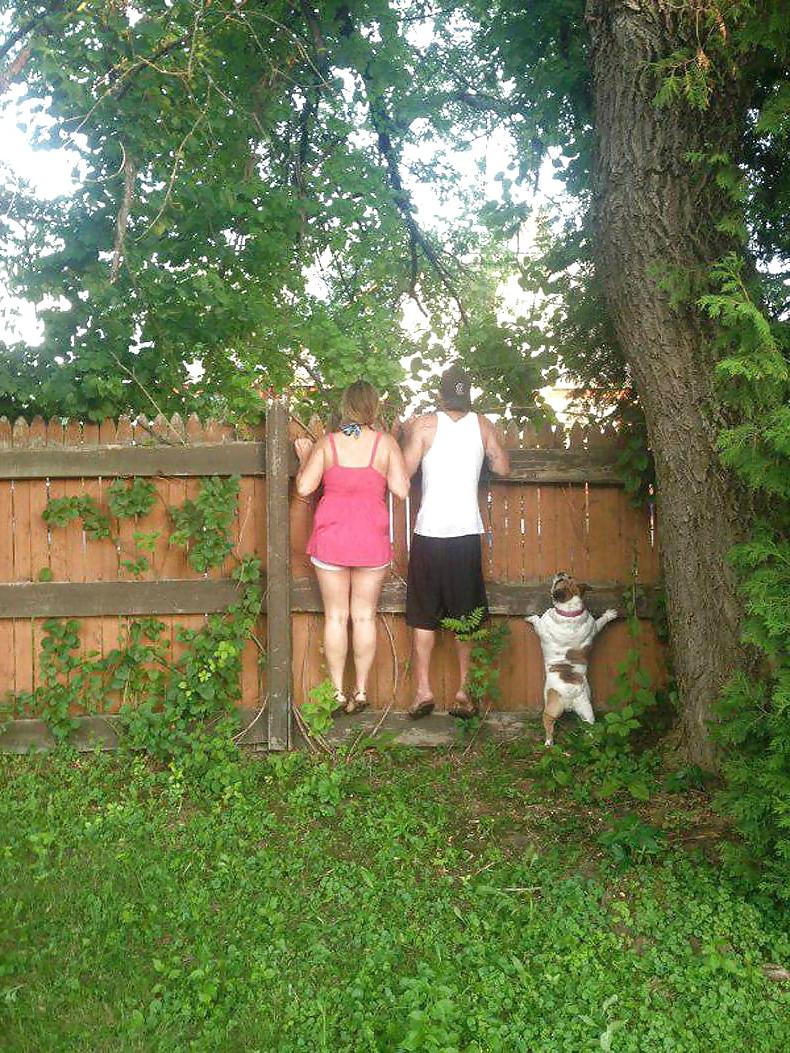 25P Some new funny pictures - Wat nieuwe grappige foto's