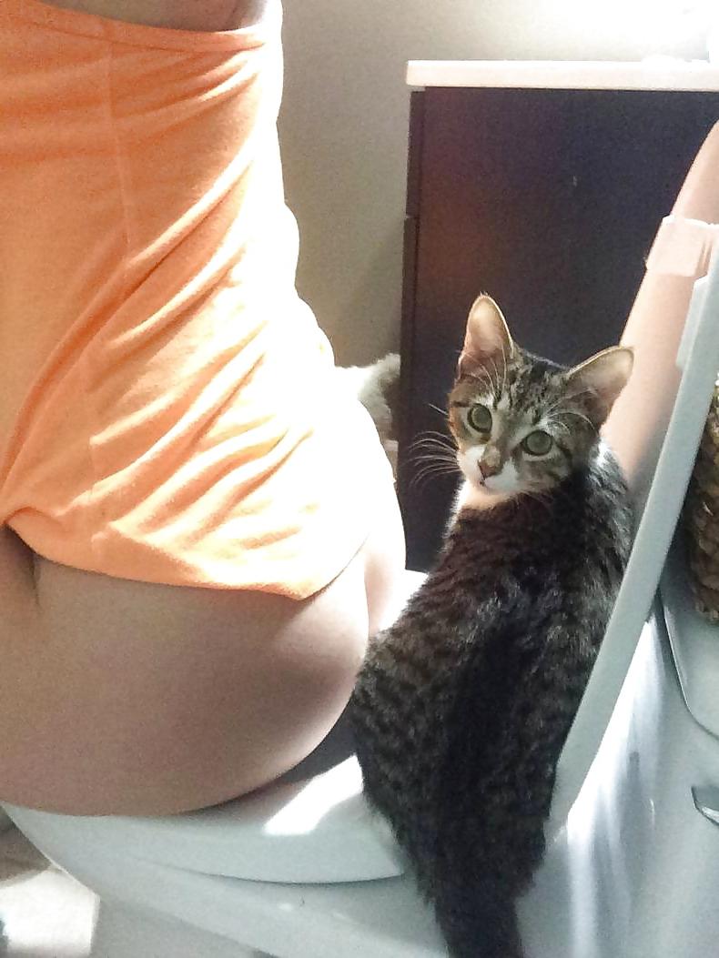 25P Some new funny pictures - Wat nieuwe grappige foto's