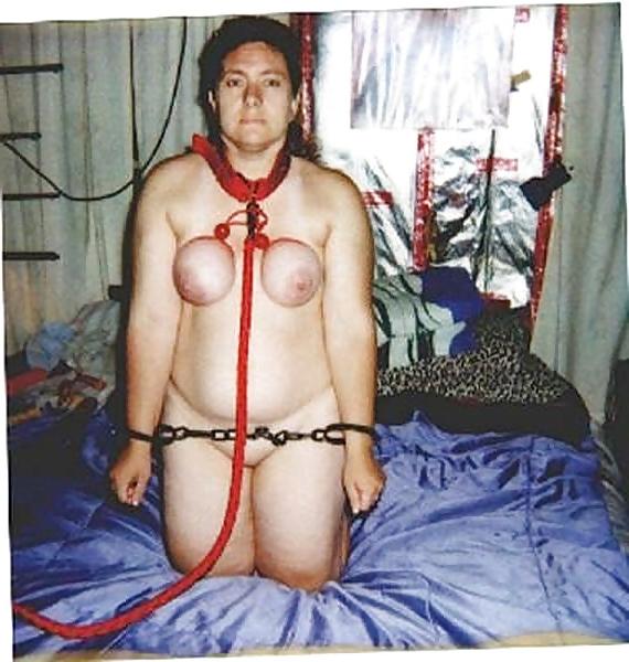 25P Sluts on Display 7 - Humiliated on the Net