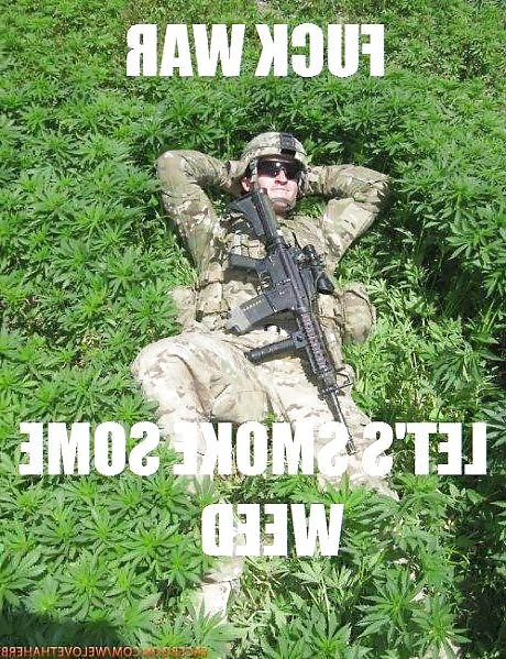 25P Funny pics