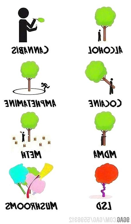 25P Funny pics