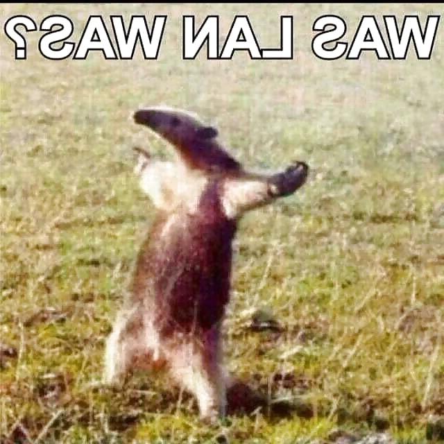 25P Funny pics