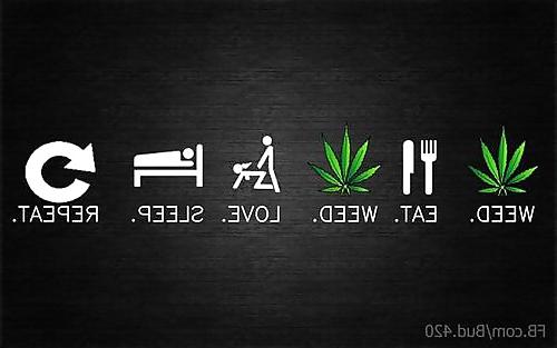 25P Funny pics