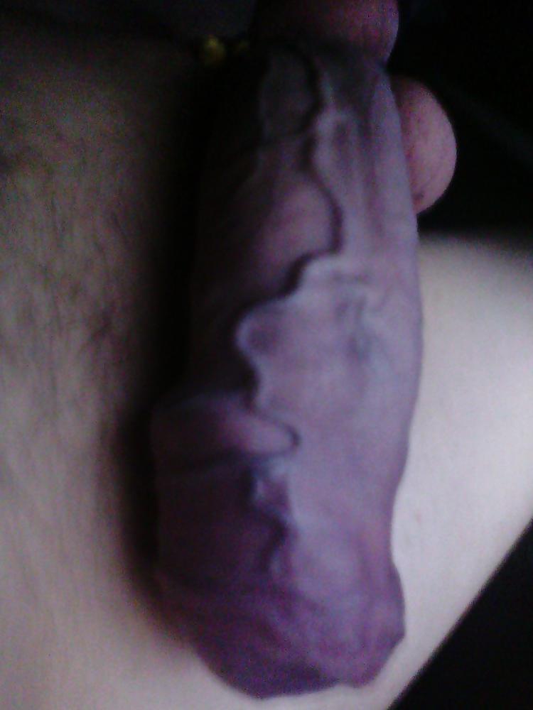16P Galery penis tributing