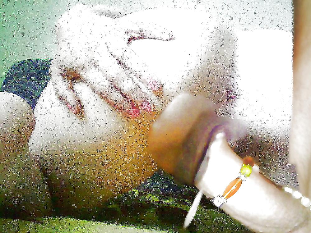 16P Galery penis tributing