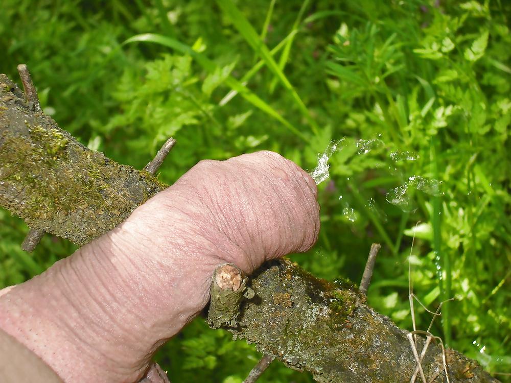 12P MY PENIS(OUTDOOR)