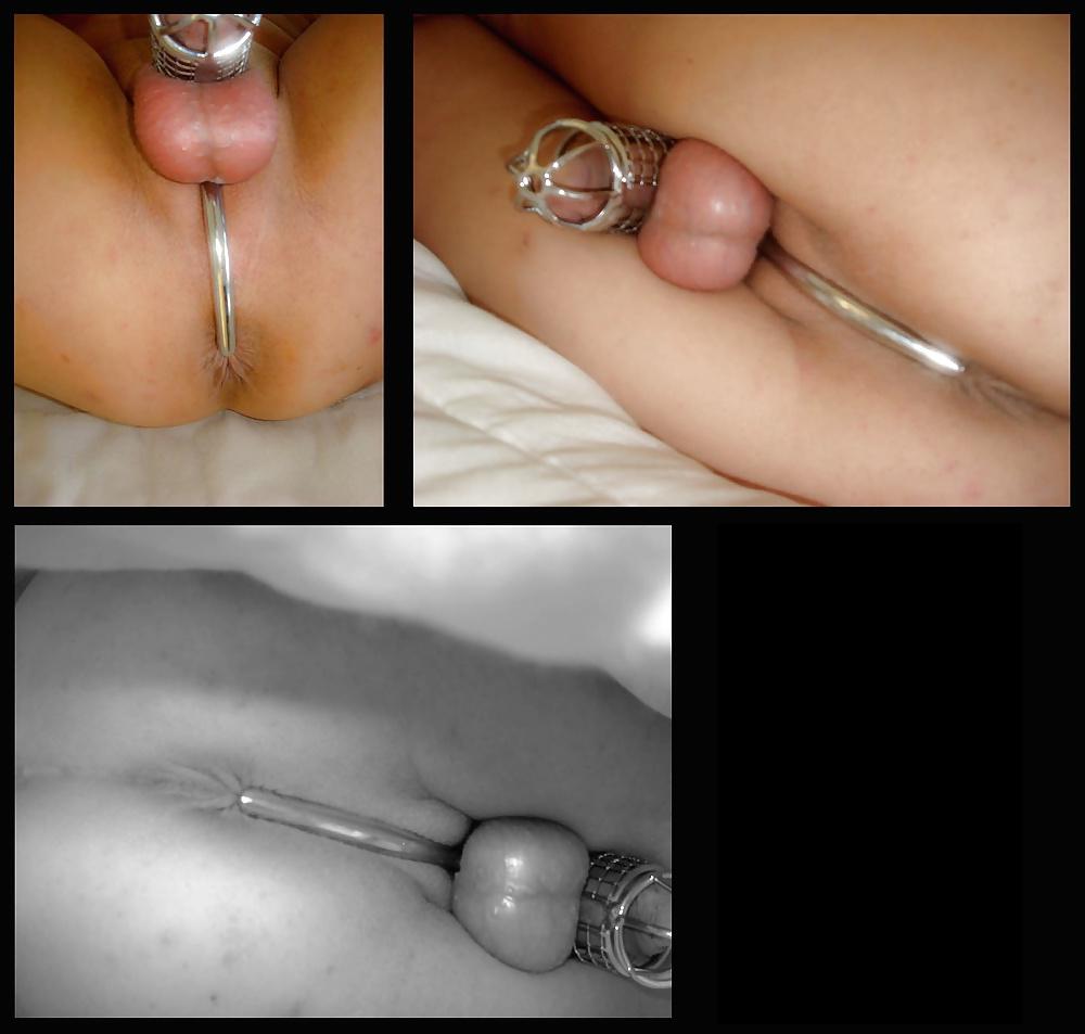 24P Hook and cage
