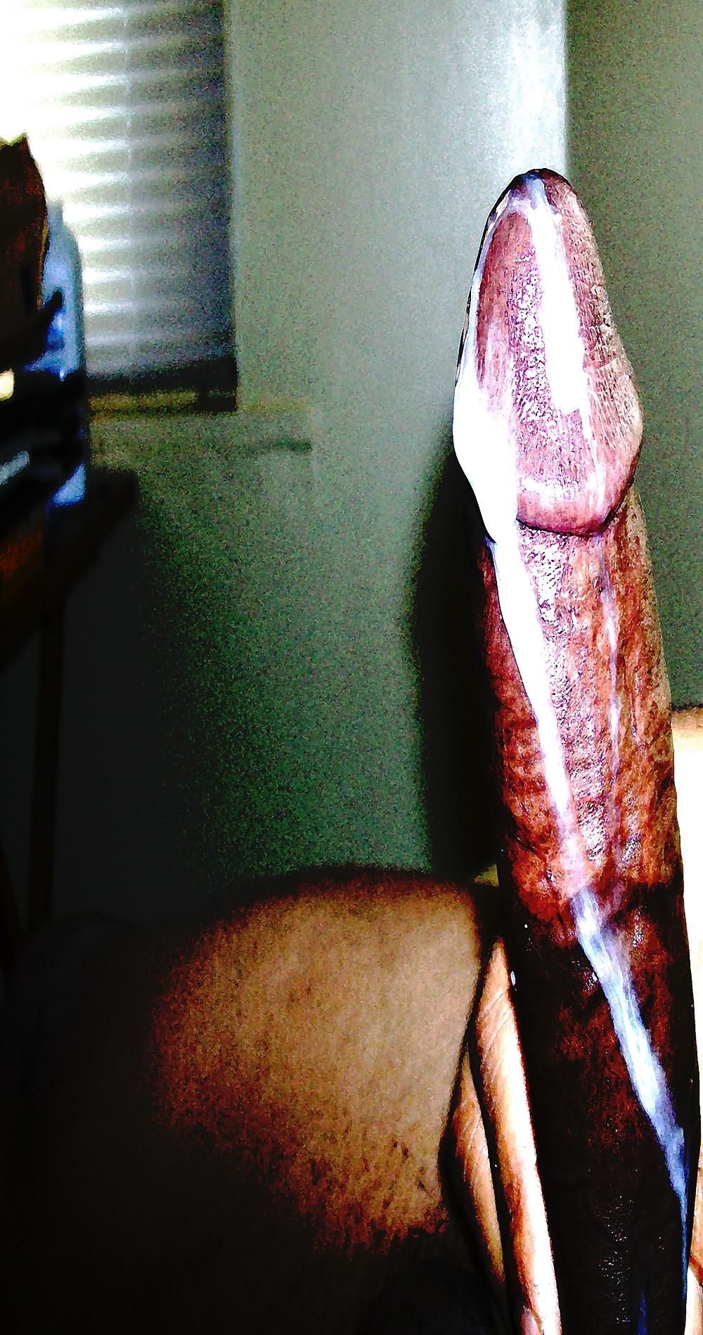 18P Art photos (penis)