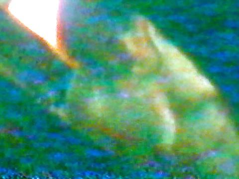 14P A small empty saggy tits mature on spy cam