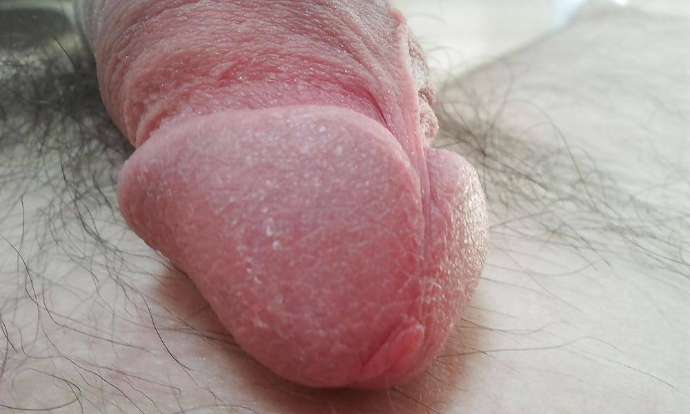 18P Rasierter Penis Pixxxx Juni 2011