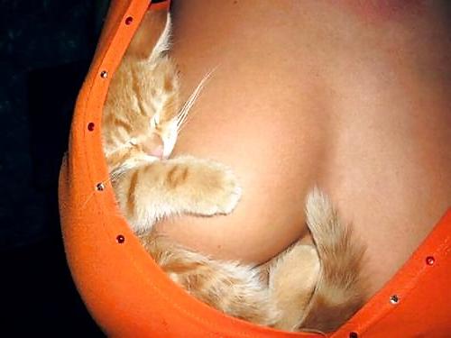 25P More Funny Pic's