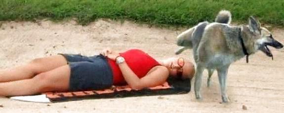 25P More Funny Pic's