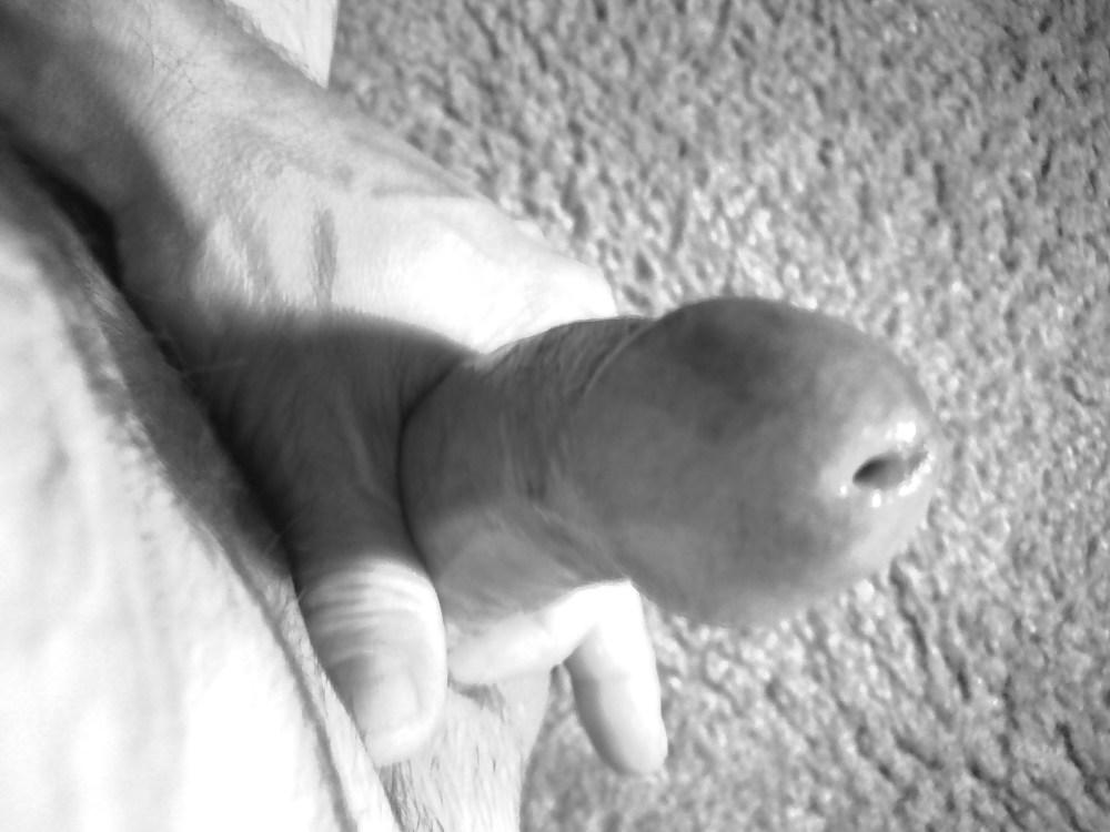 25P Cock-lovers