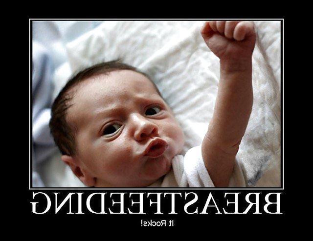 24P Funny