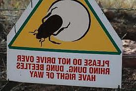 19P Funny or Unusual Signs