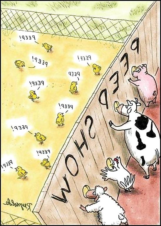 17P Hot and Funny