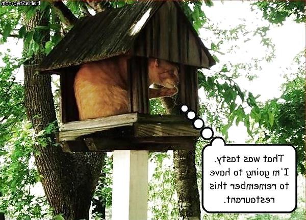 25P Funny Pic 3
