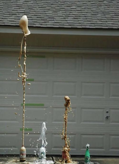 25P Funny Pics III