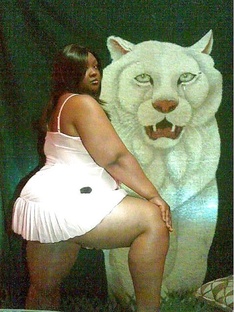 25P Sexy Black BBWS From The Hood Folder 1