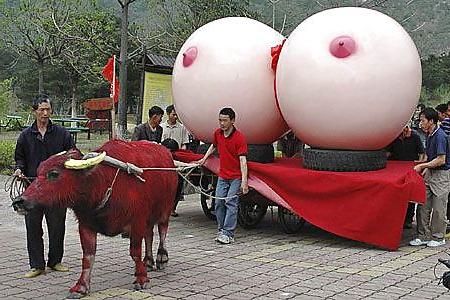 25P Funny sex photo