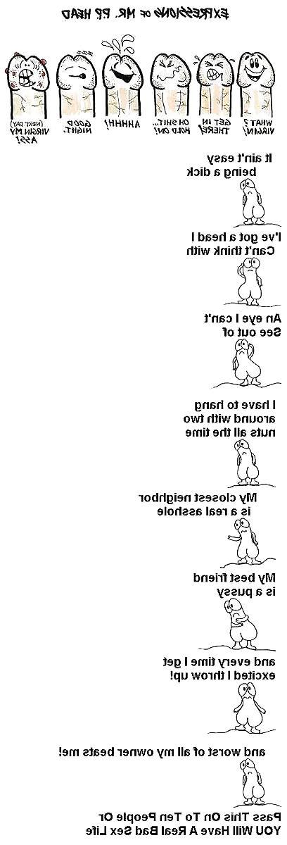 4P Funny stuff