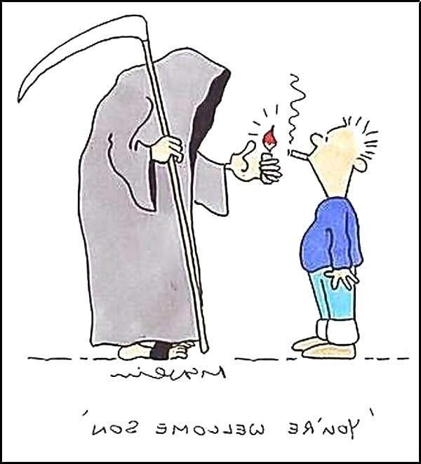 25P Funny Pic 2