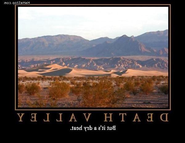 25P Funny Pic 2