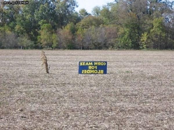 25P Funny Pic 2