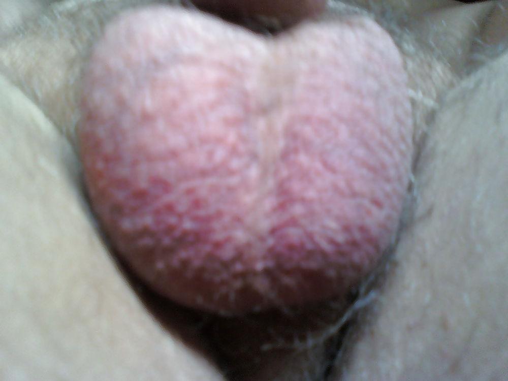 15P My Trimmed Penis 