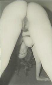 6P Friend's wife