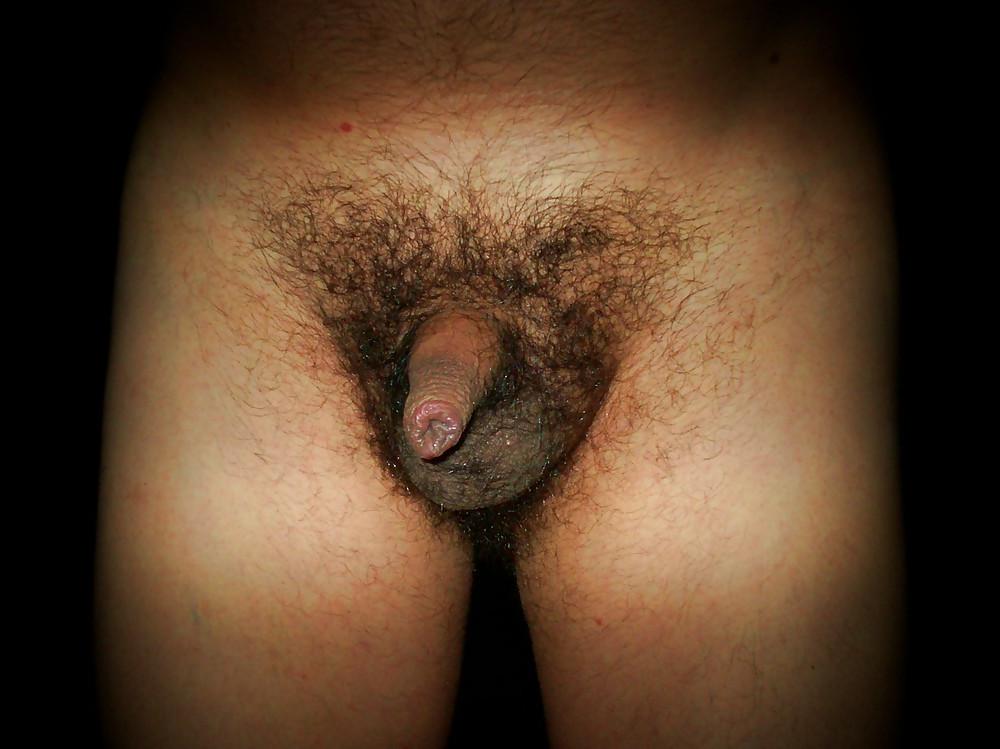 19P Meu penis