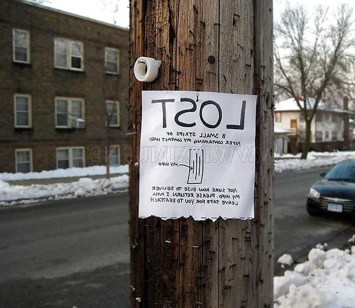 25P Funny signs and pics