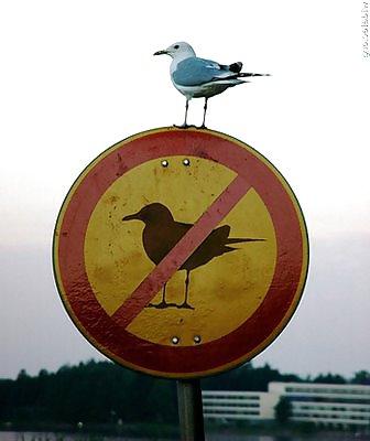 25P Funny signs and pics