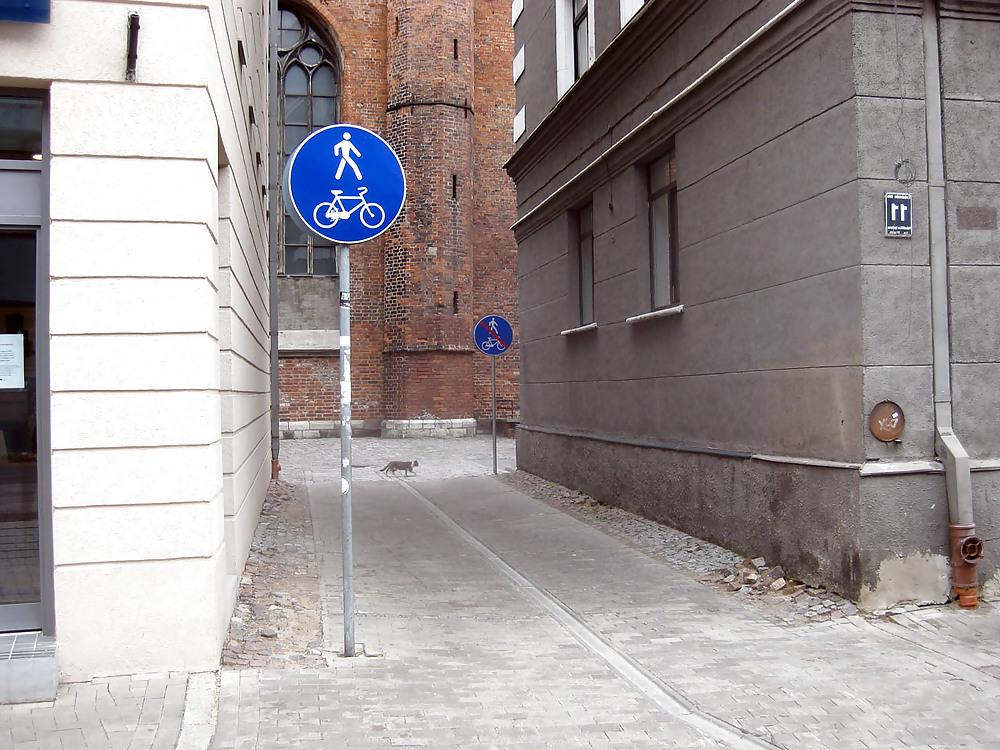 25P Funny signs and pics