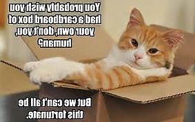 9P Stuff I Think is Funny