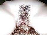 6P Anja unshaved, tits