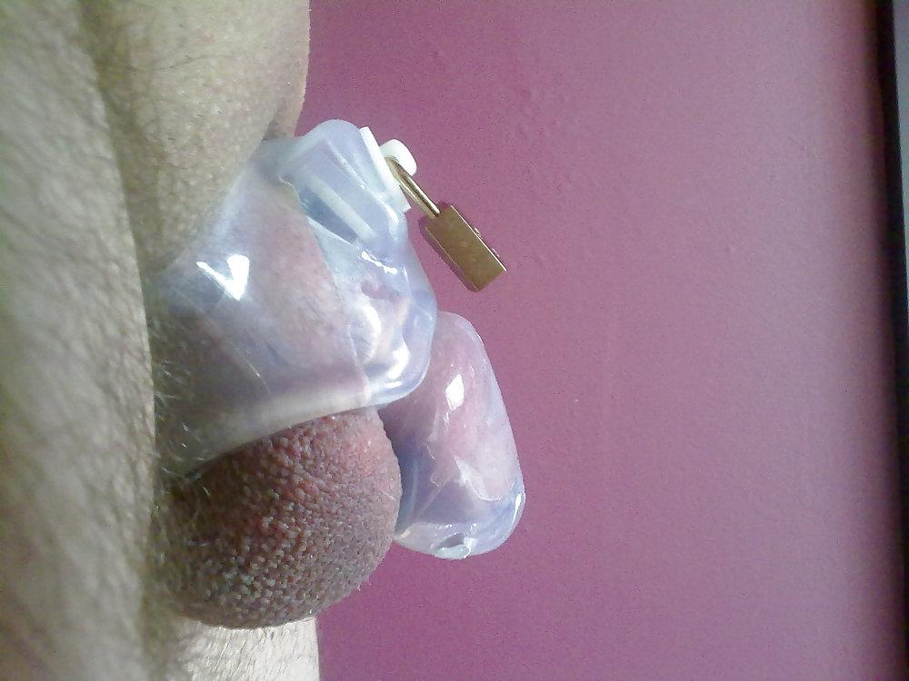 18P Chastity gallery