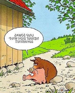 8P Funny 03