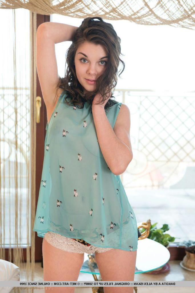 18P Brunette girl Dakota A strips to show you her hairy pussy