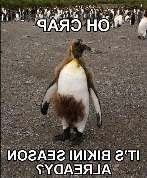 13P Funny, sexy, cool - misc - csm