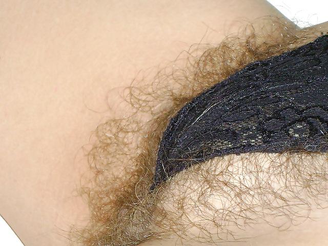19P Pawg,Hairy pussy